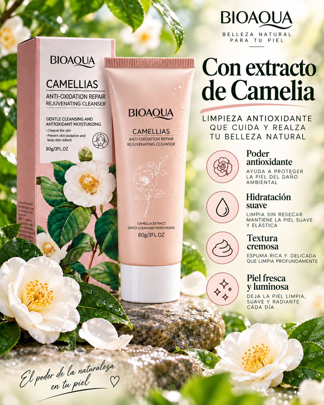 Imagen de la tienda