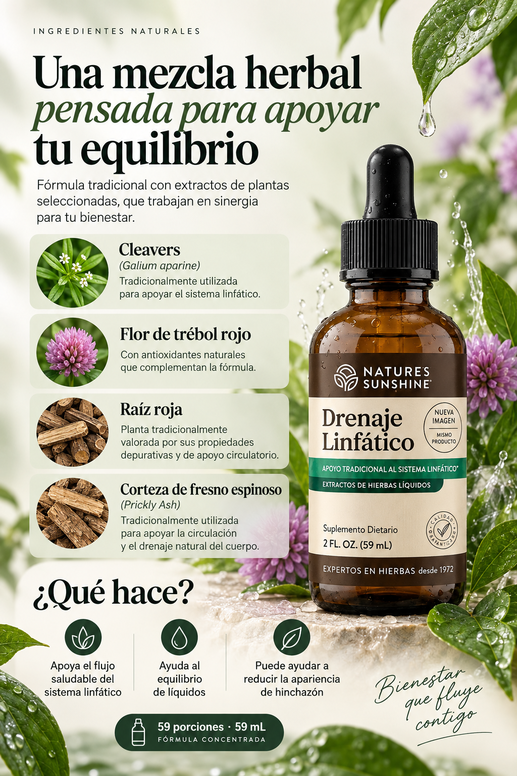 Imagen de la tienda